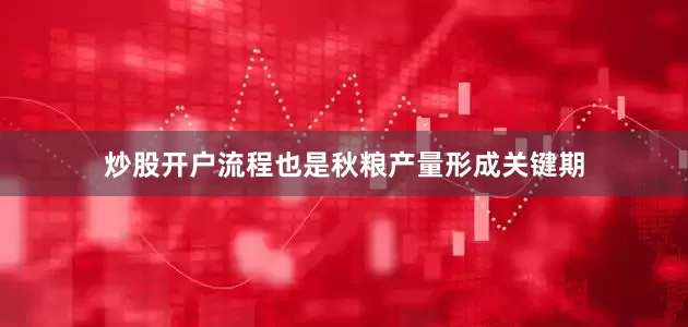 炒股开户流程也是秋粮产量形成关键期