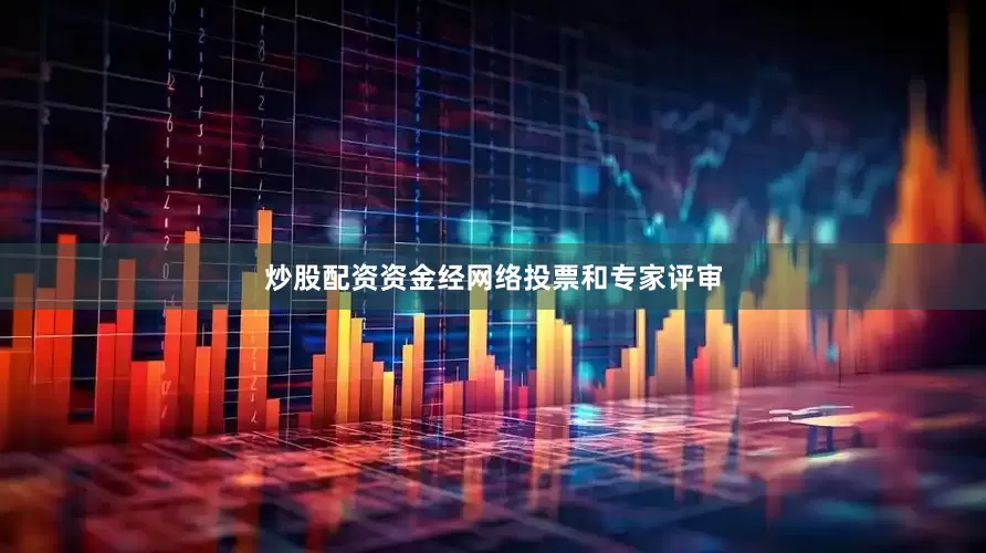 炒股配资资金经网络投票和专家评审