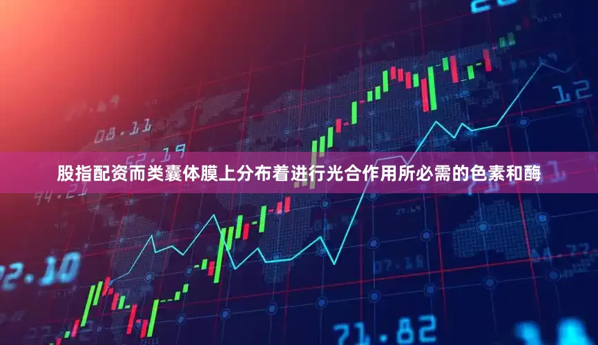股指配资而类囊体膜上分布着进行光合作用所必需的色素和酶