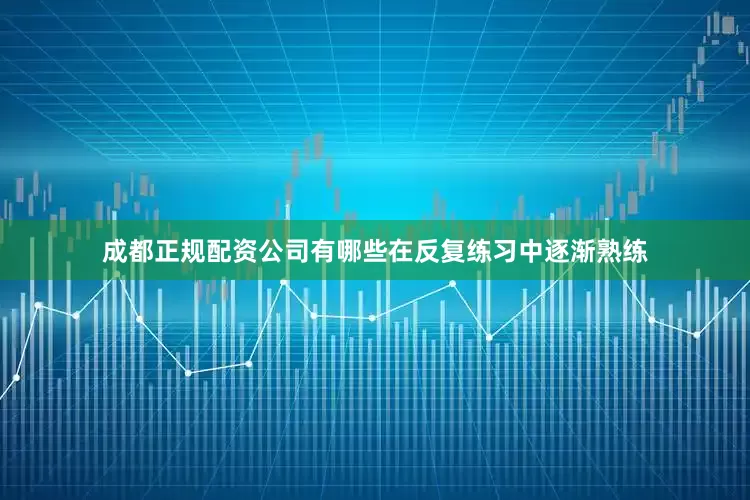 成都正规配资公司有哪些在反复练习中逐渐熟练